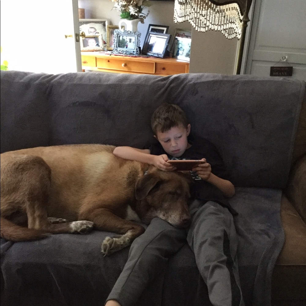 PLEASE SHARE THE LOVE! I WILL SHARE BACK! - Picture 5 of 8